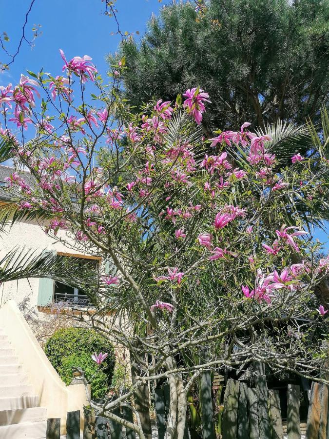 מורלה Guest House Dans Jardin Exotique Proche D'Une Voie Verte מראה חיצוני תמונה